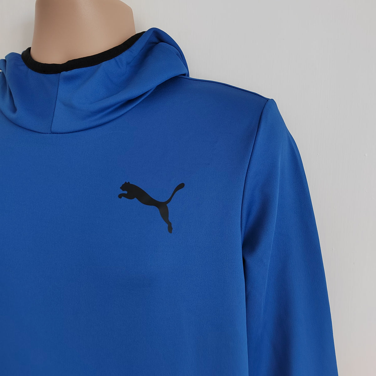 PUMA RTG Men's Colorblock Training Hoodie – Royal Blue & Black - Size Small